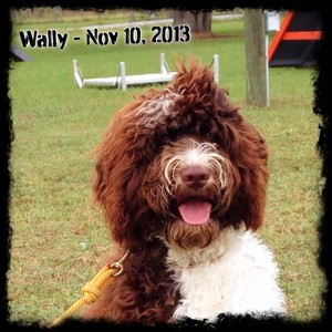 Wally