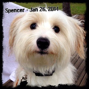 Spencer