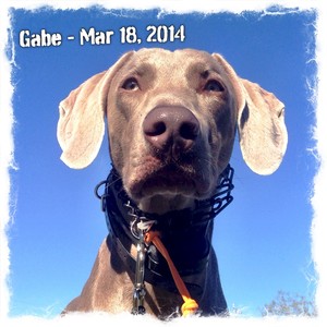 Gabe