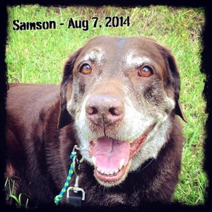 Samson