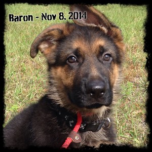 Barron