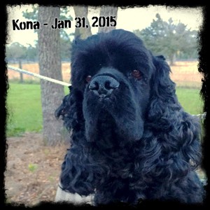 Kona