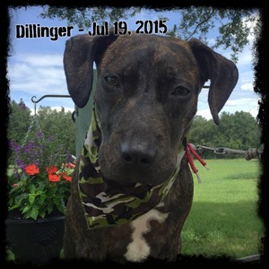 Dillinger