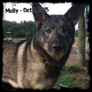 Molly