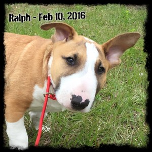 Ralph