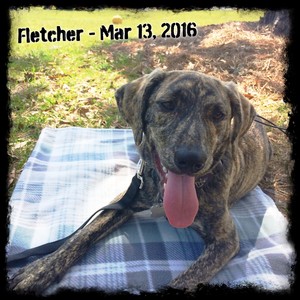 Fletcher