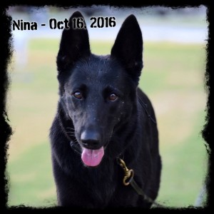 Nina