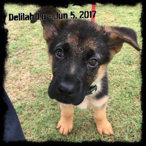 Delilah-Lu