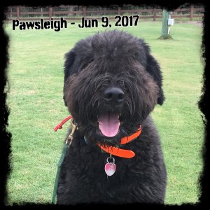 Pawsleigh B. Muttsborough