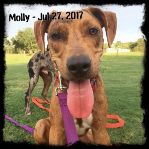 Molly