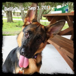 Delilah-Lu