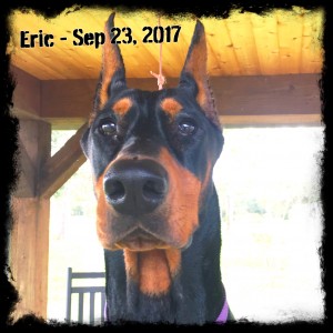 Eric