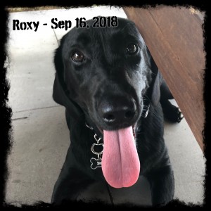 Roxy