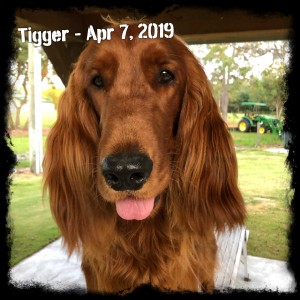 Tigger