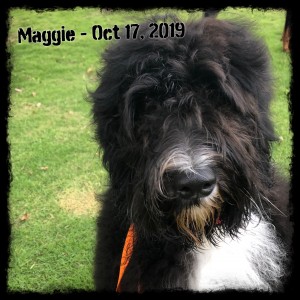 Maggie