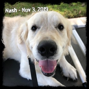 Nash