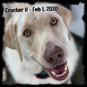 Cracker II