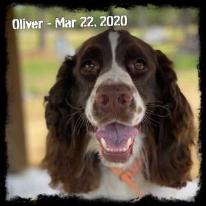 Oliver