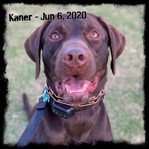 Kanner