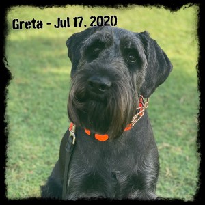 Greta