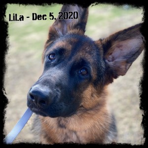 LiLa