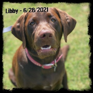 Libby