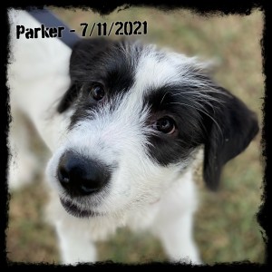 Parker