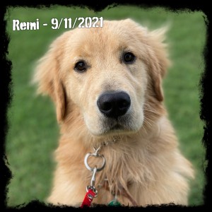 Remi