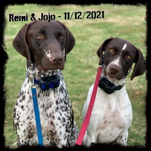 Remington & Jojo