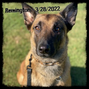 Remington